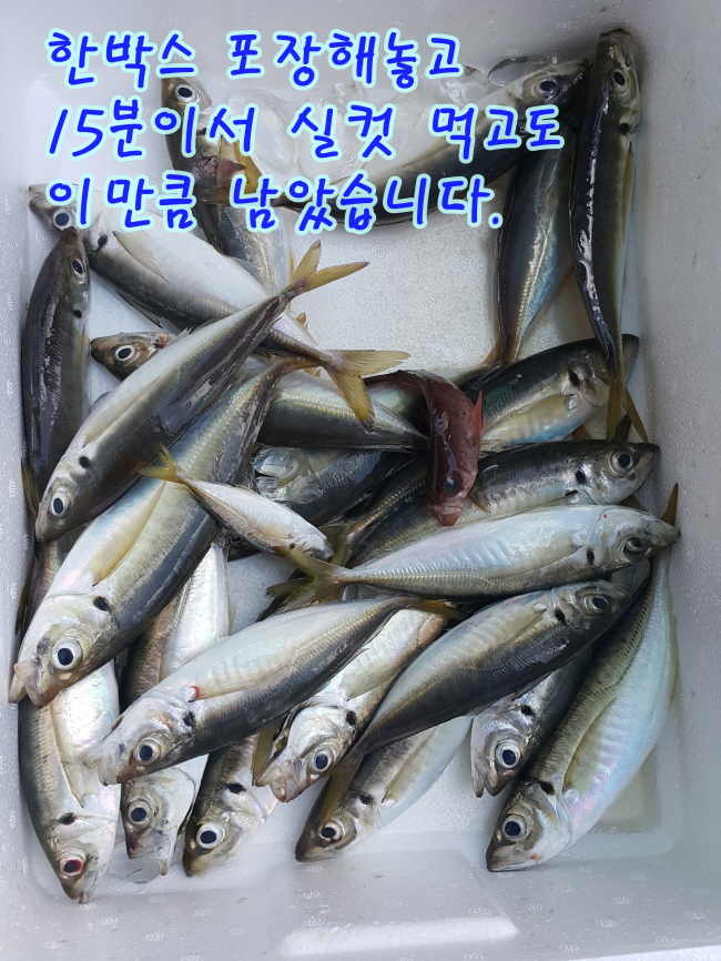 999f4dcc9a435f013f17e72afb4a330a.jpg