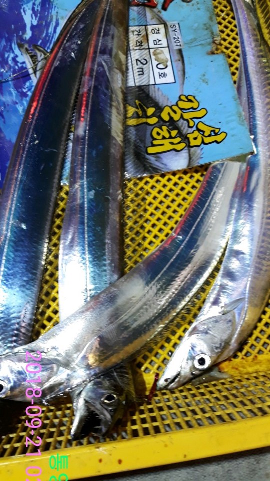 3e4519c99f090c0cf97e6c05389208d7_1537572743_3022.jpg 3e4519c99f090c0cf97e6c05389208d7_1537572743_3022.jpg