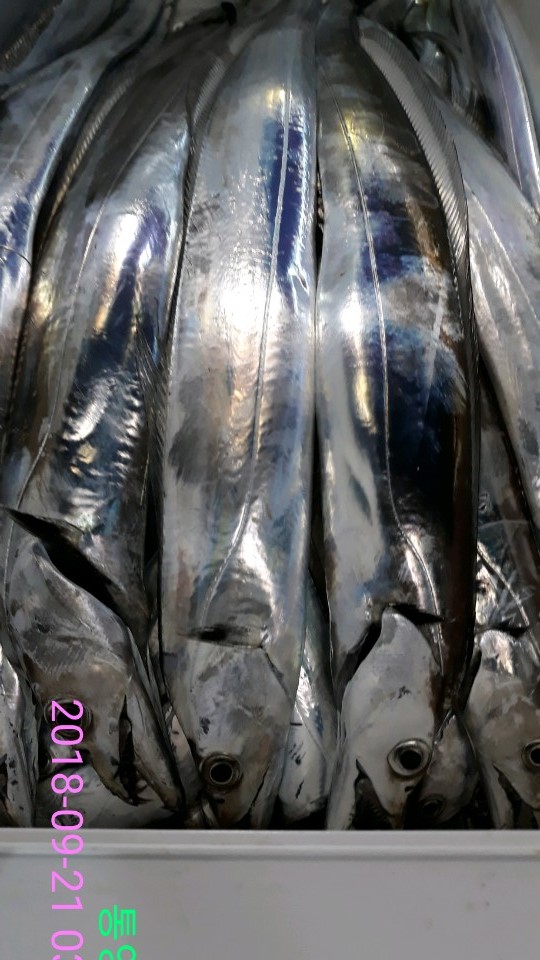 3e4519c99f090c0cf97e6c05389208d7_1537572758_2814.jpg 3e4519c99f090c0cf97e6c05389208d7_1537572758_2814.jpg