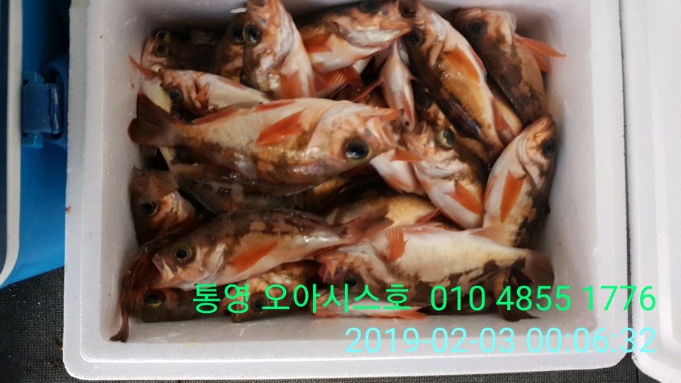 3d734c0f32eaafcd422967a3c33a484f_1549173066_6473.jpg