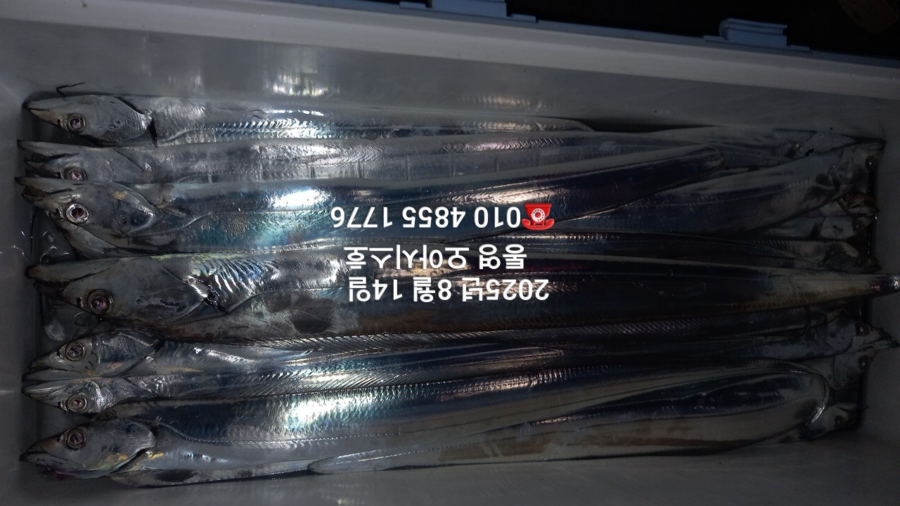 2e9d22ddc88114e615cb182fd5a2d040_1755136395_113.jpg