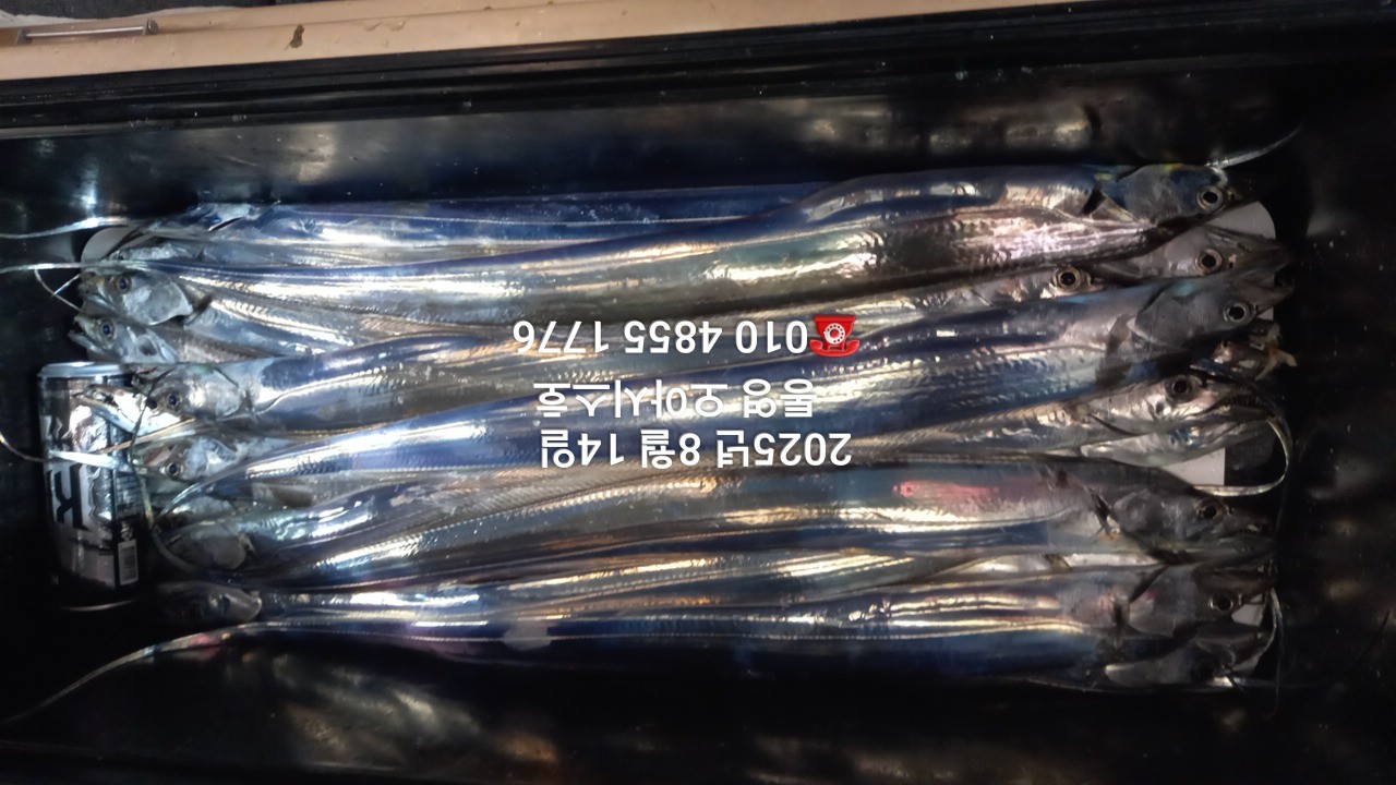 2e9d22ddc88114e615cb182fd5a2d040_1755136395_2097.jpg