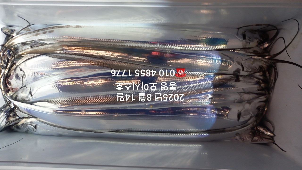 2e9d22ddc88114e615cb182fd5a2d040_1755136395_3057.jpg