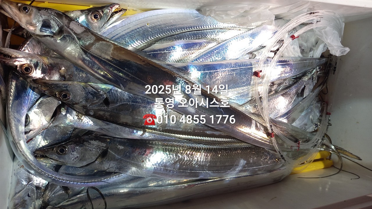 2e9d22ddc88114e615cb182fd5a2d040_1755136395_4093.jpg