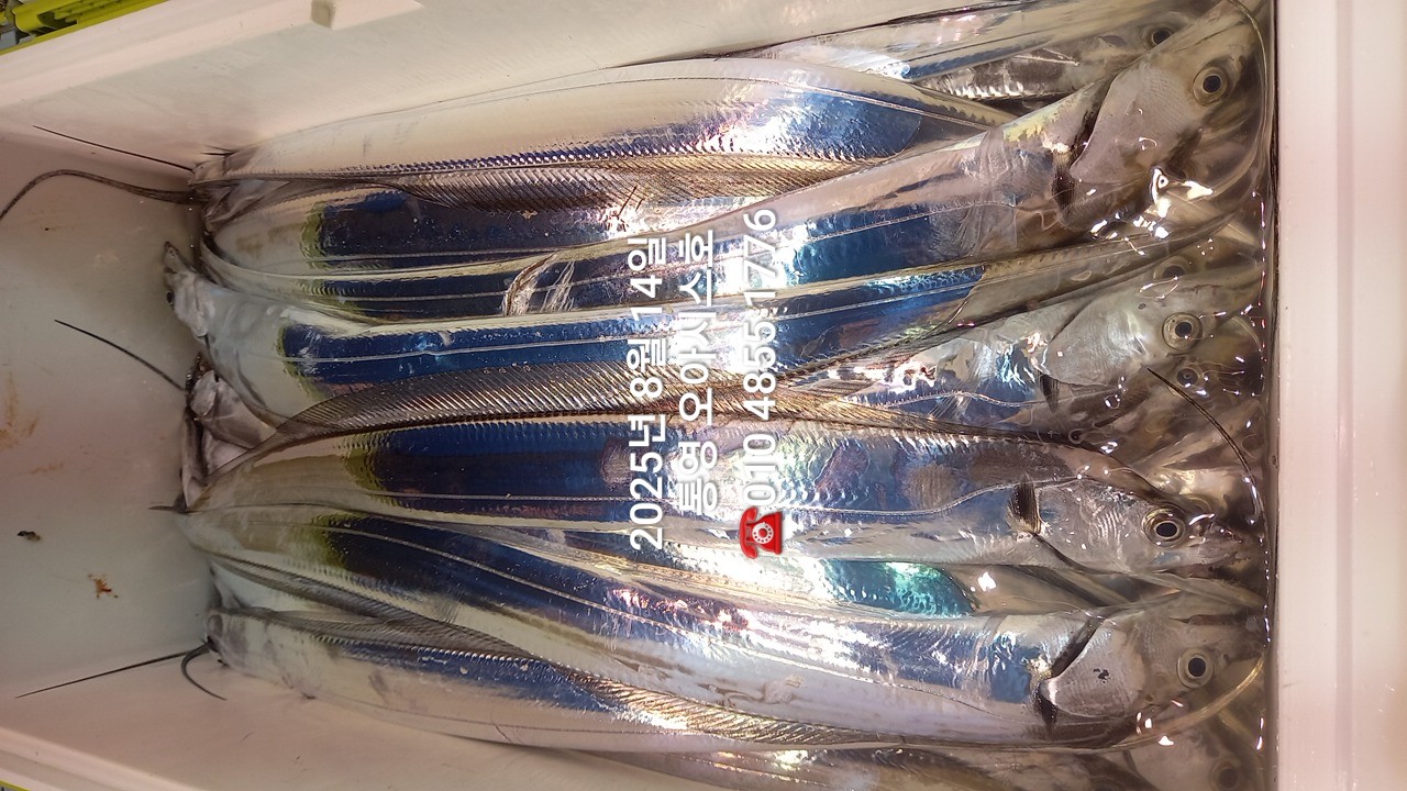 2e9d22ddc88114e615cb182fd5a2d040_1755136395_5188.jpg