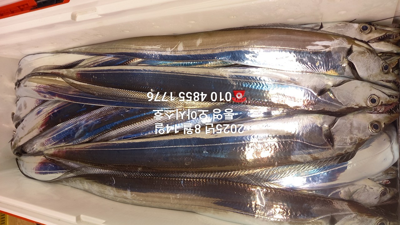 2e9d22ddc88114e615cb182fd5a2d040_1755136395_6279.jpg