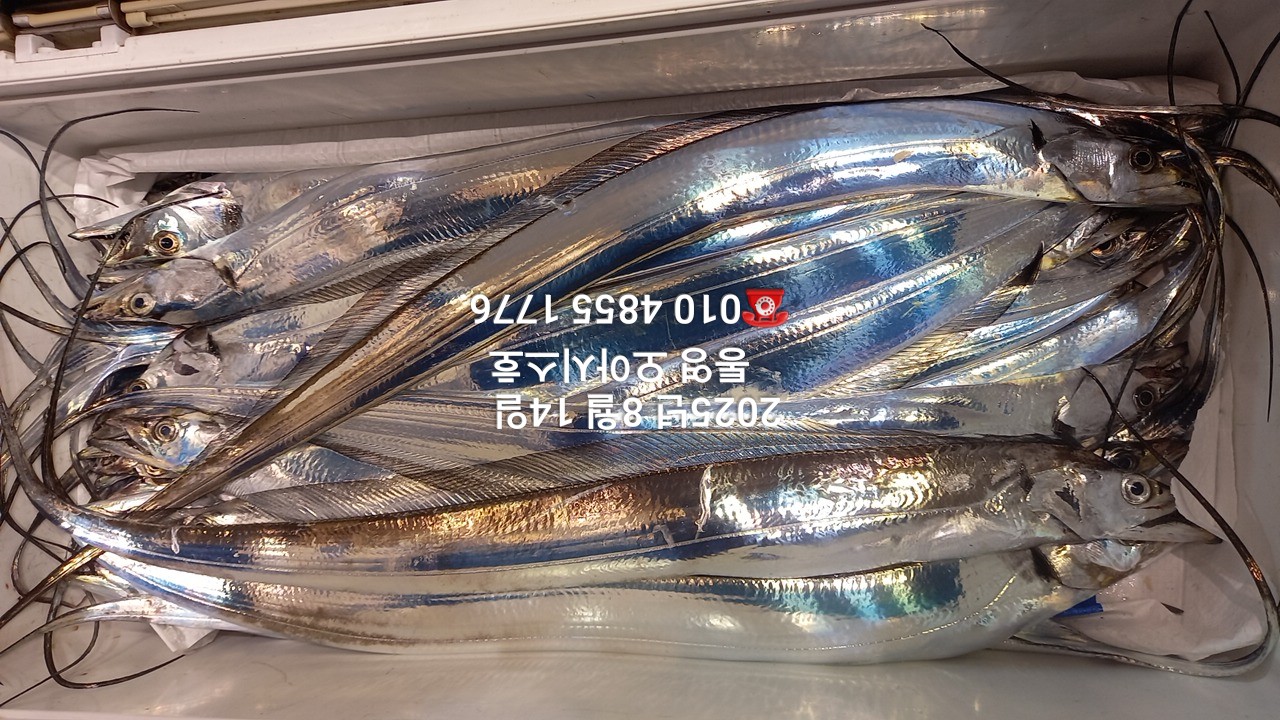 2e9d22ddc88114e615cb182fd5a2d040_1755136395_8475.jpg