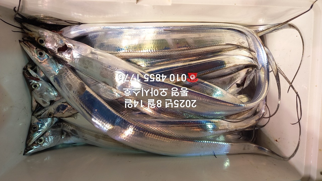 2e9d22ddc88114e615cb182fd5a2d040_1755136395_9782.jpg